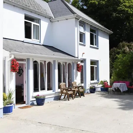 Bed & Breakfast Fitzgerald's V94 Yy47