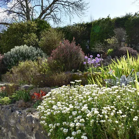 Fitzgerald's V94 Yy47 Couette-café