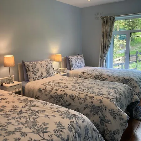 Bed and Breakfast Fitzgerald's V94 Yy47 3*