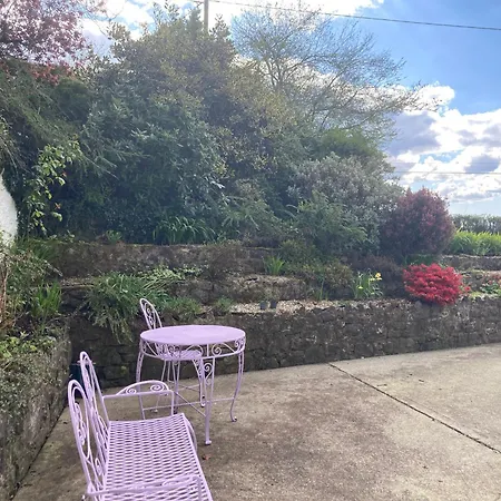 Bed and Breakfast Fitzgerald's V94 Yy47 3*