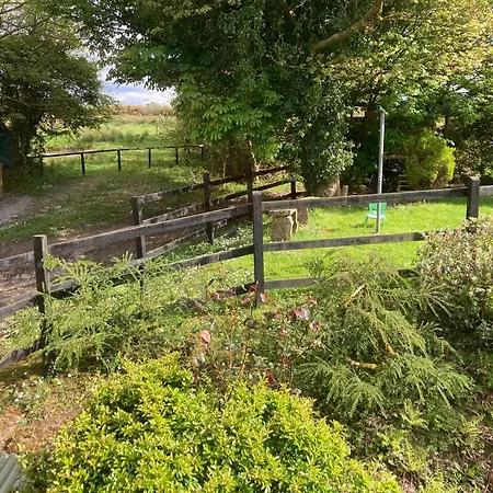 Fitzgerald's V94 Yy47 Abbeyfeale