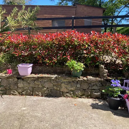 Fitzgerald's V94 Yy47