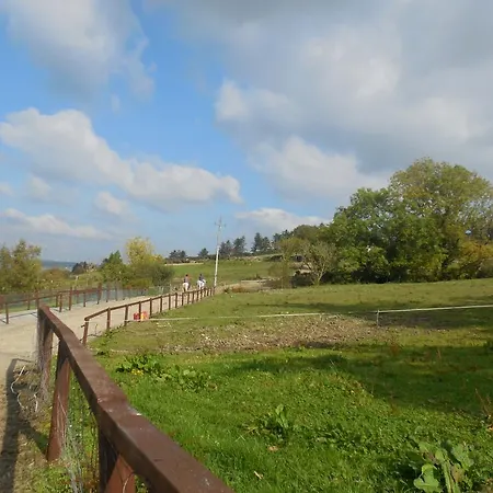 Fitzgerald's V94 Yy47 3*