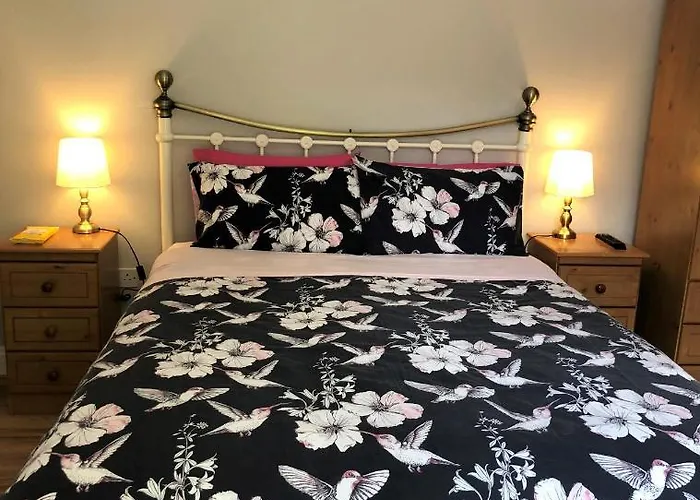 Bed and breakfast Fitzgerald's V94 Yy47 Abbeyfeale