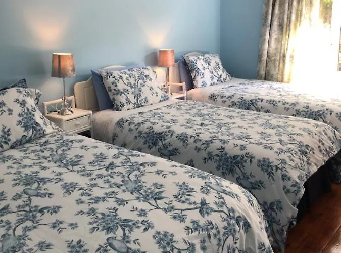 Fitzgerald's V94 Yy47 Abbeyfeale