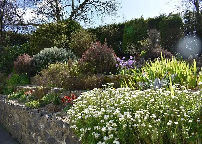 Fitzgerald's V94 Yy47 Frühstückspension