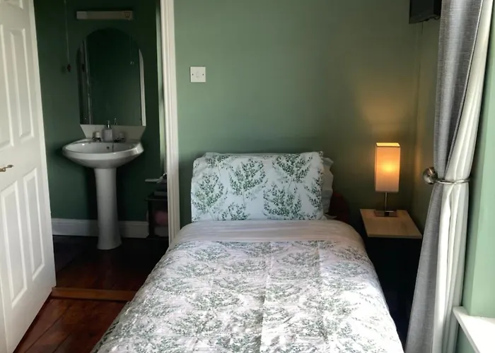 Bed and breakfast Fitzgerald's V94 Yy47 3*