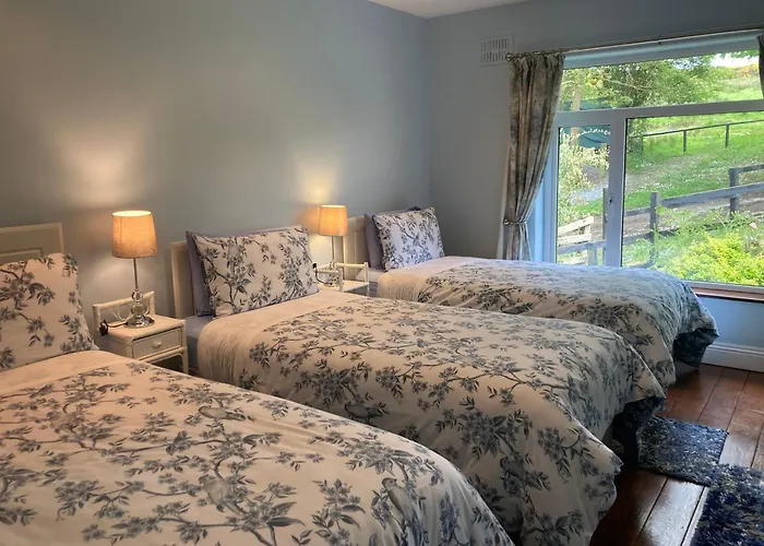 Bed and breakfast Fitzgerald's V94 Yy47 3*