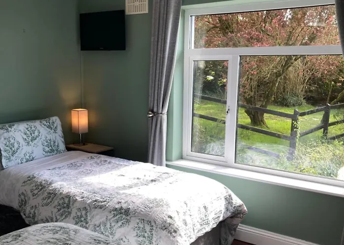 Bed and breakfast Fitzgerald's V94 Yy47 Abbeyfeale