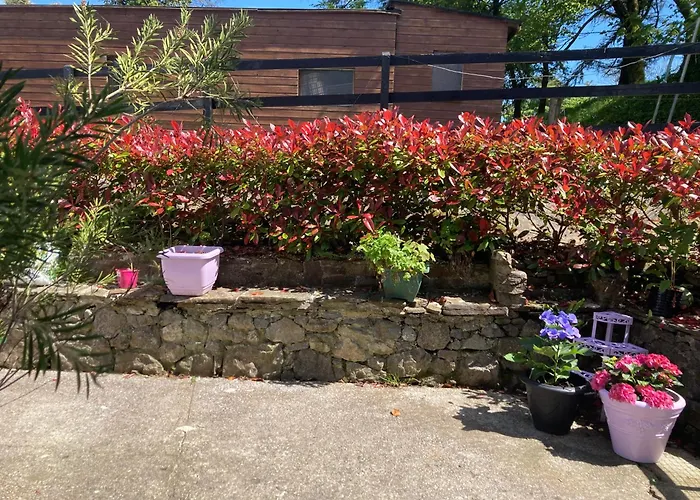 Fitzgerald's V94 Yy47