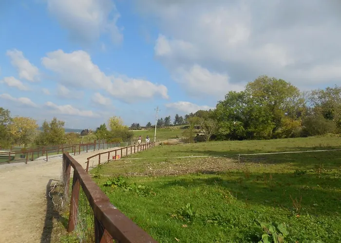 Fitzgerald's V94 Yy47 3*